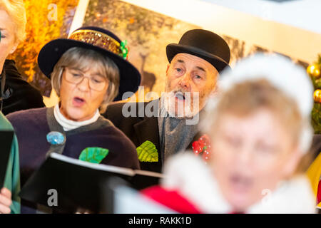 La foresta di alti responsabili rendendo coro musicale di Natale al Dean Heritage Centre, Soudley, nel Gloucestershire. Foto Stock