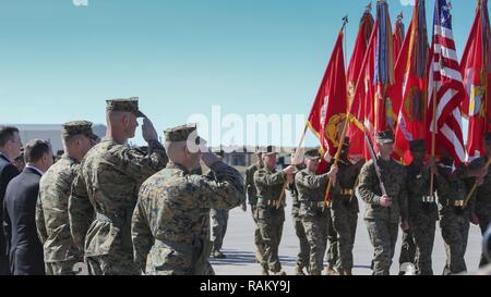 Col. Frank Latt si pone al fianco di ex i comandanti di Marine Aircraft Group 31 salutando i colori durante il passare in rassegna a bordo Marine Corps Air Station Beaufort, Feb. 10. Latt alleviato Col. Robert Cooper come MAG-31 comandante. Foto Stock