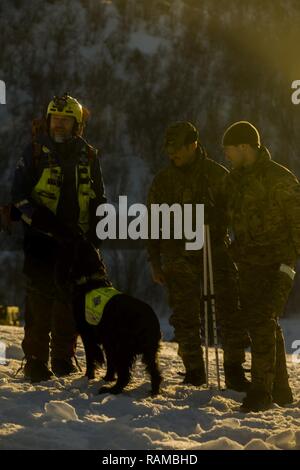 Un British Royal Marine accompagnatrici di una ricerca e salvataggio del cane e del suo gestore valanga durante la formazione come una parte delle basse temperature di formazione, in Porsangmoen, Norvegia, il 10 febbraio, 2017. Stati Uniti Marines da Bravo Company, 1° Battaglione, 2° Reggimento Marine, seconda divisione Marine hanno partecipato tre settimane di tempo freddo pacchetto di formazione che è stato guidato da British Royal Marine leader di montagna. La formazione è stata una parte di Marine forza rotazionale Europa 17.1 in cui Marines sono in grado di migliorare la loro capacità di svolgere in un clima freddo ambiente. Foto Stock