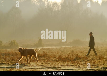 Chailey, East Sussex, Regno Unito. 4 gennaio 2019. Dog walkers godendo di un luminoso ma fredda per iniziare la giornata in comune Chailey Riserva Naturale, East Sussex. Credito: Peter Cripps/Alamy Live News Foto Stock