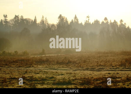 Chailey, East Sussex, Regno Unito. 4 gennaio 2019. Dog walkers godendo di un luminoso ma fredda per iniziare la giornata in comune Chailey Riserva Naturale, East Sussex. Credito: Peter Cripps/Alamy Live News Foto Stock