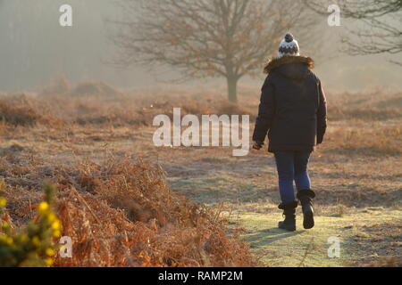 Chailey, East Sussex, Regno Unito. 4 gennaio 2019. Dog walkers godendo di un luminoso ma fredda per iniziare la giornata in comune Chailey Riserva Naturale, East Sussex. Credito: Peter Cripps/Alamy Live News Foto Stock