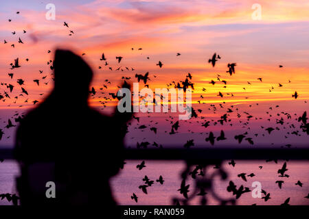 Brighton, Regno Unito. 04 gen 2019. Regno Unito: Meteo tramonto su Brighton il Palace Pier, dove ogni notte in inverno, storni murmurate prima sono ' appollaiati sotto. Credito: Andrew Hasson/Alamy Live News Foto Stock