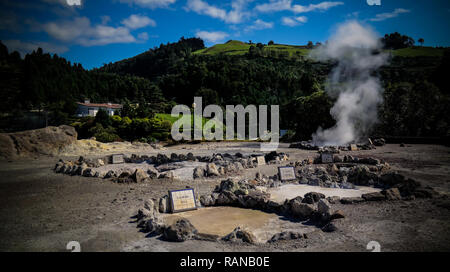 Campi geotermici vicino Lago di Furnas a Sao Miguel, Azzorre, Portogallo Foto Stock