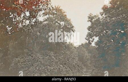 Singapore giardino botanico, anonimo, 1900 - 1920. Reinventato da Gibon. Arte Classica con un tocco di moderno reinventato Foto Stock