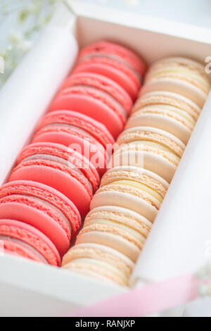 Corallo e torte beige macarons o amaretti in una scatola regalo bianca. Il concetto di giorno di San Valentino e la molla è in festa. Foto Stock