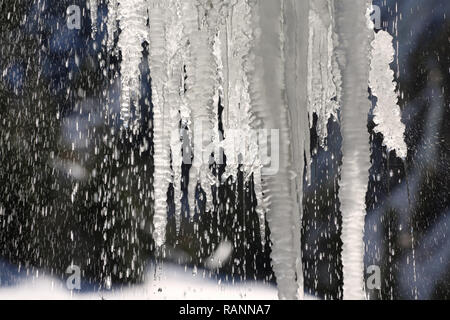Gocce d'acqua che cadono da icicle di scongelamento Foto Stock
