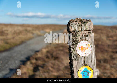 Percorso pedonale Glyndwr's Way vicino al lago Glyndwr, Dylife, Powys, Galles Foto Stock