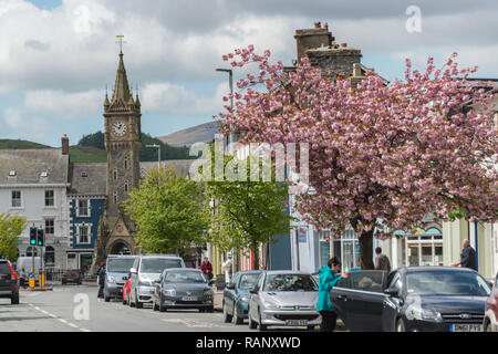 Il Itinerari Segreti di Palazzo Ducale e il centro di Machynlleth, Galles Foto Stock