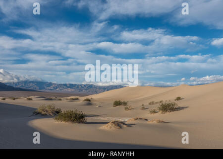 Vento sabbia scolpita per formare gli intriganti Mesquite dune di sabbia, il Parco Nazionale della Valle della Morte, California Foto Stock