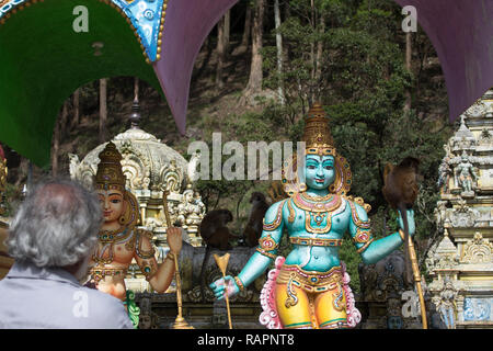 Orante in Seetha Amman tempio indù circondato da mokeys in Nuwara Elya. Foto Stock