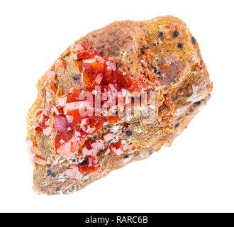 La fotografia macro di naturale minerale da collezione geologica - Vanadinite cristalli sulla roccia grezza (minerali di vanadio) su sfondo bianco Foto Stock