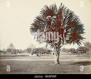 Un albero di Palma Studio, Lucknow, India, Samuel Bourne, c. 1862 - c. 1874. Reinventato da Gibon. Arte Classica con un moderno reinventato Foto Stock