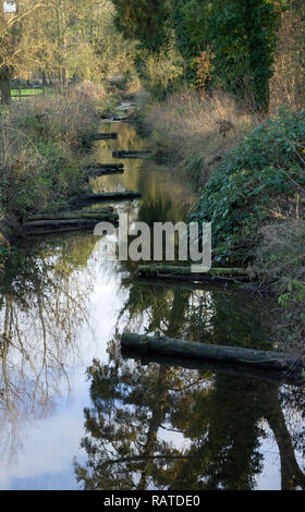 La gestione delle risorse della pesca della trota torrente Cambridgeshire Foto Stock