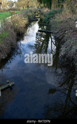 La gestione delle risorse della pesca della trota torrente Cambridgeshire Foto Stock