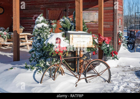 Il Parkside Pioneer Patch a Natale con neve invernale in Winkler, Manitoba, Canada. Foto Stock