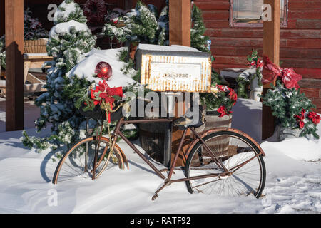 Il Parkside Pioneer Patch a Natale con neve invernale in Winkler, Manitoba, Canada. Foto Stock