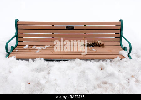 Panca sepolto nella neve in memoria di Scott Spoo un corridore che è stato ucciso da distratto conducente a nord del fiume Mississippi Boulevard. St Paul Minnesota MN USA Foto Stock