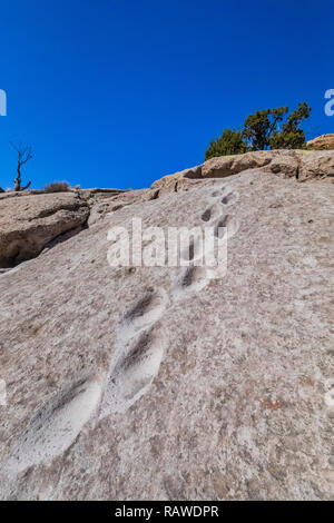 Antica appigli indossato in pietra da Puebloans ancestrale al Tsankawi siti preistorici Bandelier National Monument vicino a Los Alamos, Nuovo Messico Foto Stock