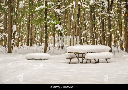 Tavolo da picnic e una buca per il fuoco sono sepolti sotto una leggera nevicata fresca in un area camping in Michigan Foto Stock