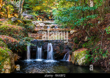 Bella scena con cascata e il fiume nella foresta, Giappone Foto Stock