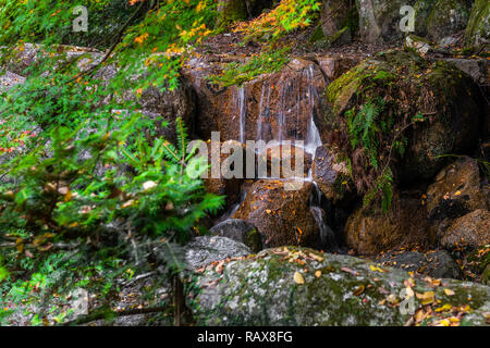 Visualizzare ofwaterfall e pietre in foresta, Giappone Foto Stock