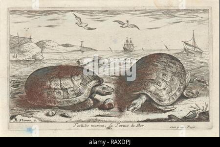 Due tartarughe sulla spiaggia, Albert Flamen, 1664. Reinventato da Gibon. Arte Classica con un tocco di moderno reinventato Foto Stock