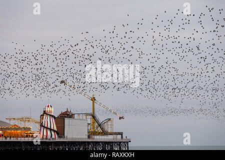 Murmuration di storni oltre il Palace Pier, Brighton, Sussex, Regno Unito. Fotografato in una fredda sera di dicembre. Gli uccelli si radunano al tramonto prima del nesting. Foto Stock