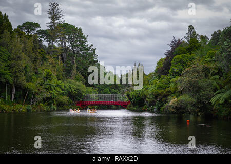 Festival delle Luci nel parco Pukekura, Taranaki, Isola del nord, Nuova Zelanda Foto Stock