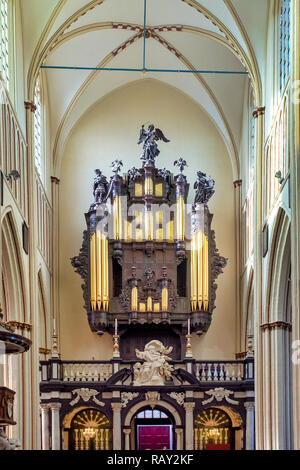 Organo della Cattedrale di San Salvatore, Bruges, Fiandre, in Belgio Foto Stock