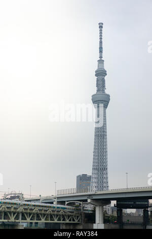 TOKYO, Giappone - 19 Novembre 2018: Tokyo Skytree con Linea Tobu treno vista dal Parco Tsukuda in Tokyo. Foto Stock