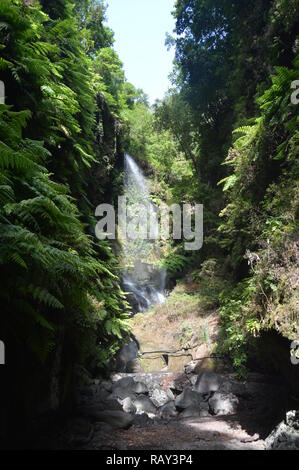 Meravigliosa cascata all'interno di una grotta nei boschi di Los Tilos sull'isola di La Palma. Viaggi, Natura, vacanze, Geologia. Luglio 8, 2015. È Foto Stock