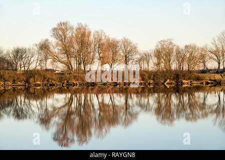 la linea dell'albero si riflette in un lago Foto Stock