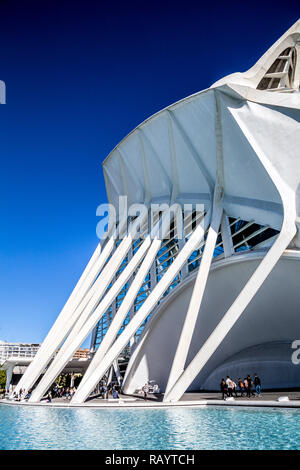 Il Museu de les Ciències Príncipe Felipe (il Principe Filippo del Museo della Scienza) nella Città delle Arti e delle Scienze di Valencia, Spagna Foto Stock