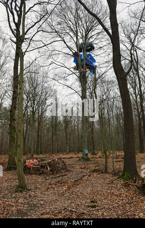 Vista ad albero case in alto in una struttura ad albero di Hambacher Forst, una vecchia foresta naturale, che diventa un simbolo popolare nella lotta contro il riscaldamento globale. Foto Stock