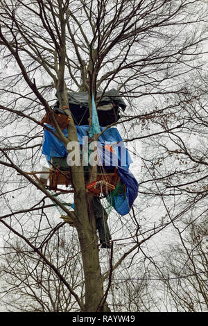 Vista ad albero case in alto in una struttura ad albero di Hambacher Forst, una vecchia foresta naturale, che diventa un simbolo popolare nella lotta contro il riscaldamento globale. Foto Stock