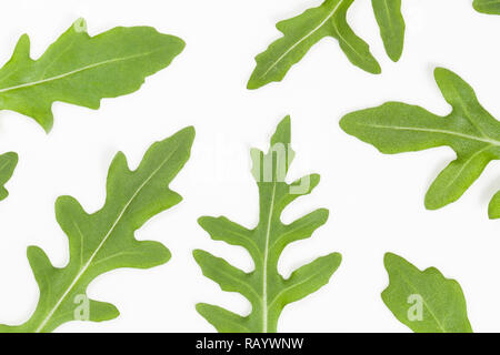 Macro top visualizza immagine di fresco verde delle foglie di rucola italiana isolati su piastra bianca. Insalata di rucola. Organici di una sana dieta alimentare. Orizzontale foto a colori Foto Stock