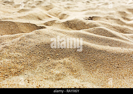 Le dune di sabbia del deserto o sulla spiaggia di close-up nel profondo sun Foto Stock