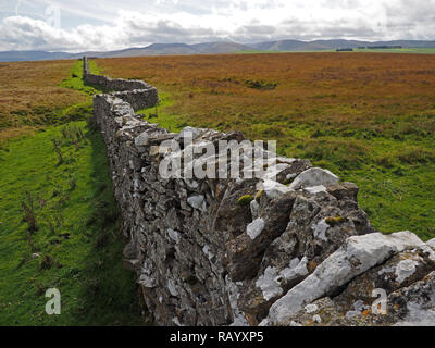 Stalattite parete con un improvviso kink si estende attraverso la brughiera vicino Sunbiggin Tarn con distante Howgill Fells in background in Cumbria, England, Regno Unito Foto Stock