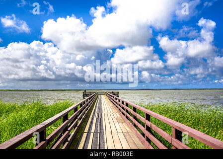 Molla verde paesaggio del lago spiaggia con Pier, dock in legno o ponte per la pesca, villaggio vacanze in campagna Foto Stock