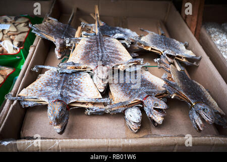 Essiccato e spiedini di Tokay gechi Foto Stock