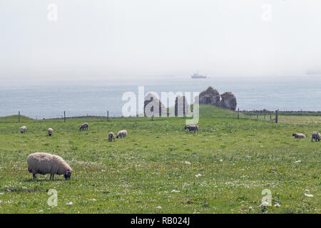 Nebbia di mare oltre il suono di Iona, guardando ad est verso la nebbia offuscato e avvolto Mull, dall'Isola di Iona. La costruzione in pietra rimane di Cladh un Diseirt, a metà distanza. Il inner​ Ebridi. La Scozia. Foto Stock