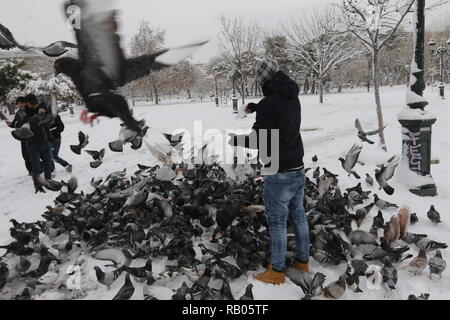 Salonicco, Grecia, 5 gennaio 2019. Tranciati coperta di neve del nord del porto greco città di Salonicco, come la Grecia è interessata da un fronte freddo portando nevicate e basse temperature in molte parti del paese. Credito : Orhan Tsolak / Alamy Live News Foto Stock