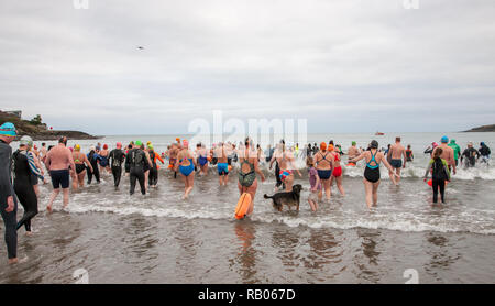 Fountainstown, Cork, Irlanda. 05 gennaio. 2019. Alcuni dei nuotatori voce per il mare in Carrigaline cantare o nuotare evento per raccogliere fondi per l'irlandese del motoneurone associazione malattia a Fountainstown Beach, Co. Cork, Irlanda. Credito: David Creedon/Alamy Live News Foto Stock