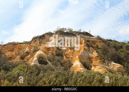 Gold-shining pinnacoli su Fraser Island accanto a settanta cinque miglia di spiaggia (Queensland, Australia) Foto Stock