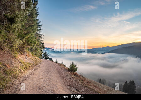 Escursioni intorno a teh magic Belchen nel sud della Germania Foto Stock