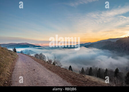 Escursioni intorno a teh magic Belchen nel sud della Germania Foto Stock