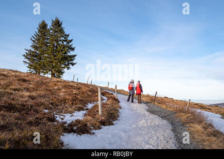 Escursioni intorno a teh magic Belchen nel sud della Germania Foto Stock