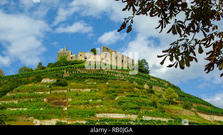 Rovina 'Staufen' storica rovina di un vecchio castello in Germania del sud Foto Stock