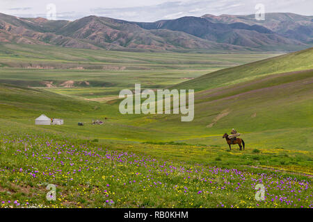 Assy altopiano dove il popolo nomade andare in estate, nei pressi della città di Almaty, Kazakhstan. Foto Stock